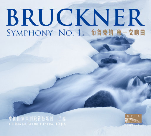 三级片视频播放
